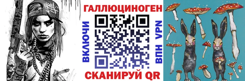 где купить наркоту  Котлас  нарко площадка как зайти  Галлюциногенные грибы MAGIC MUSHROOMS 