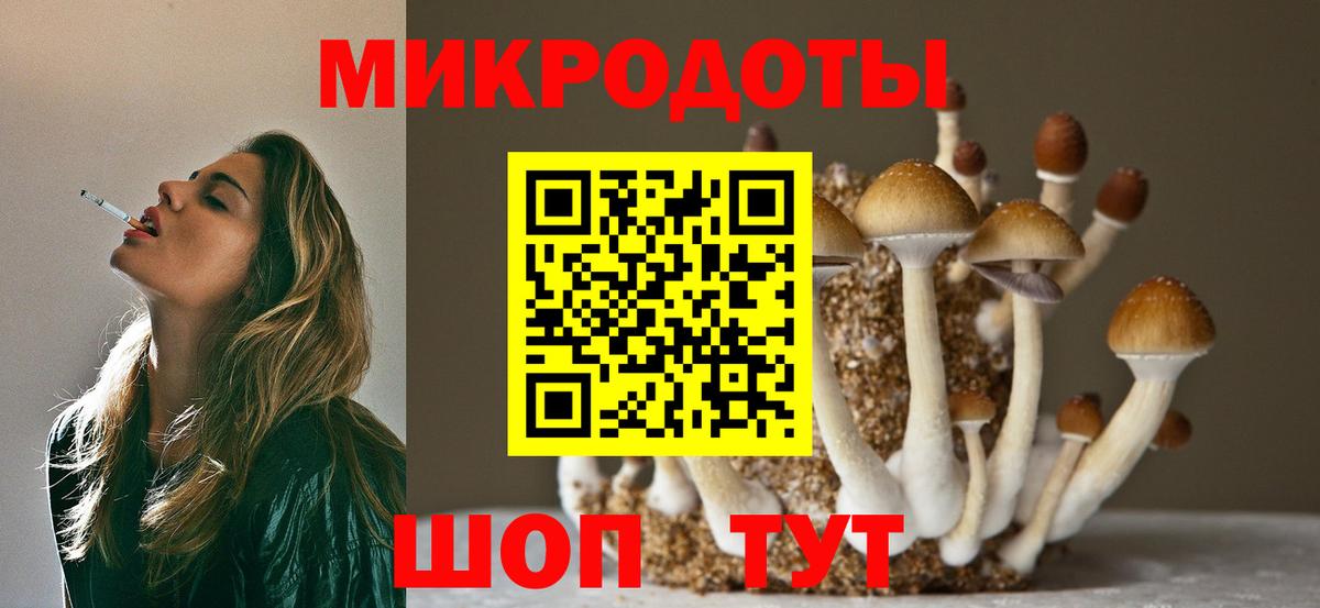 Псилоцибиновые грибы мицелий  Псилоцибиновые грибы Cubensis  наркотики  Вход с VPN  Котлас 